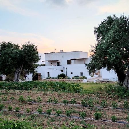 Masseria Piccole Taverne Rosa Marina Kültér fotó