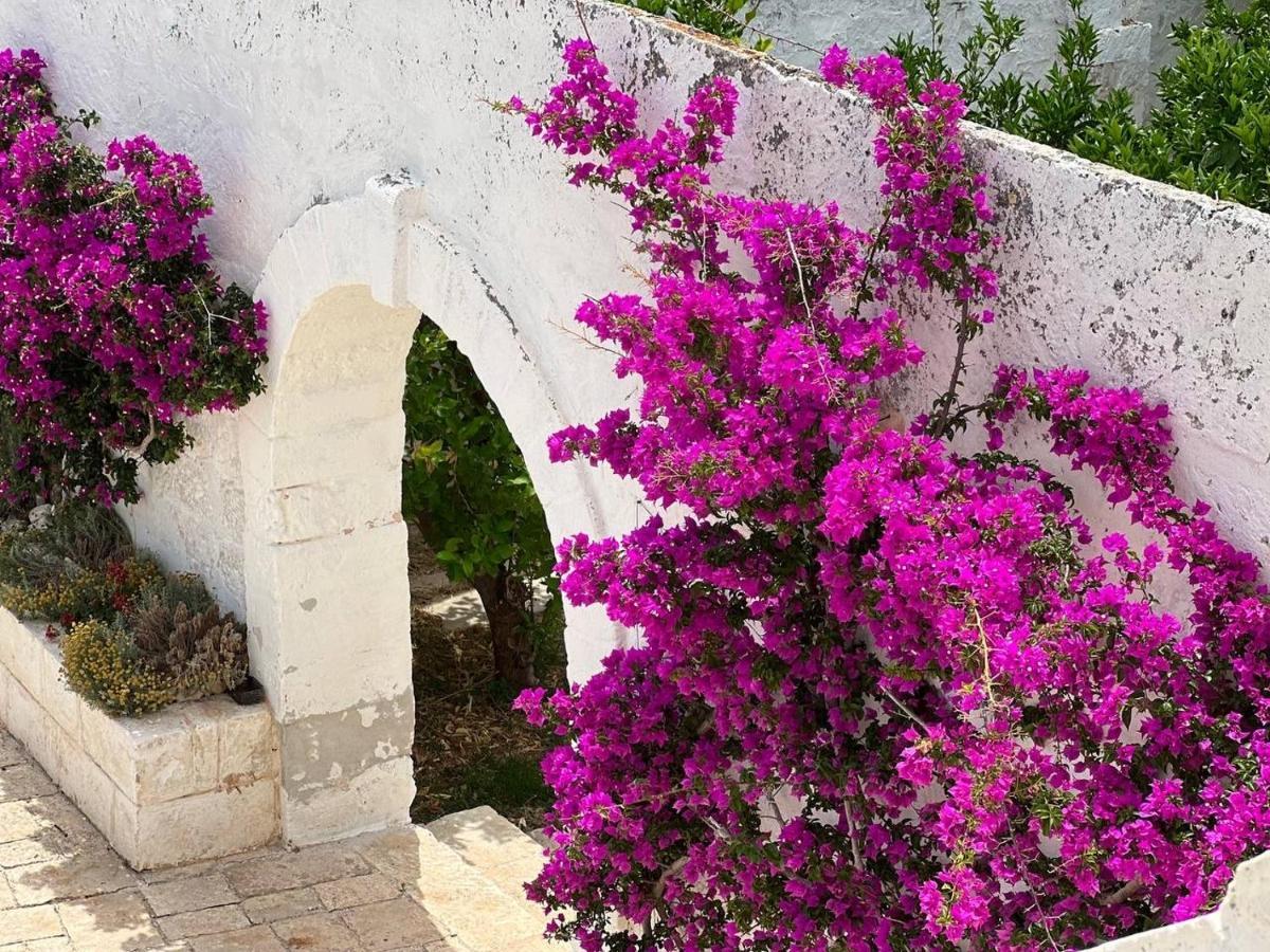Masseria Piccole Taverne Rosa Marina Kültér fotó