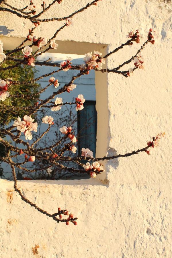 Masseria Piccole Taverne Rosa Marina Kültér fotó