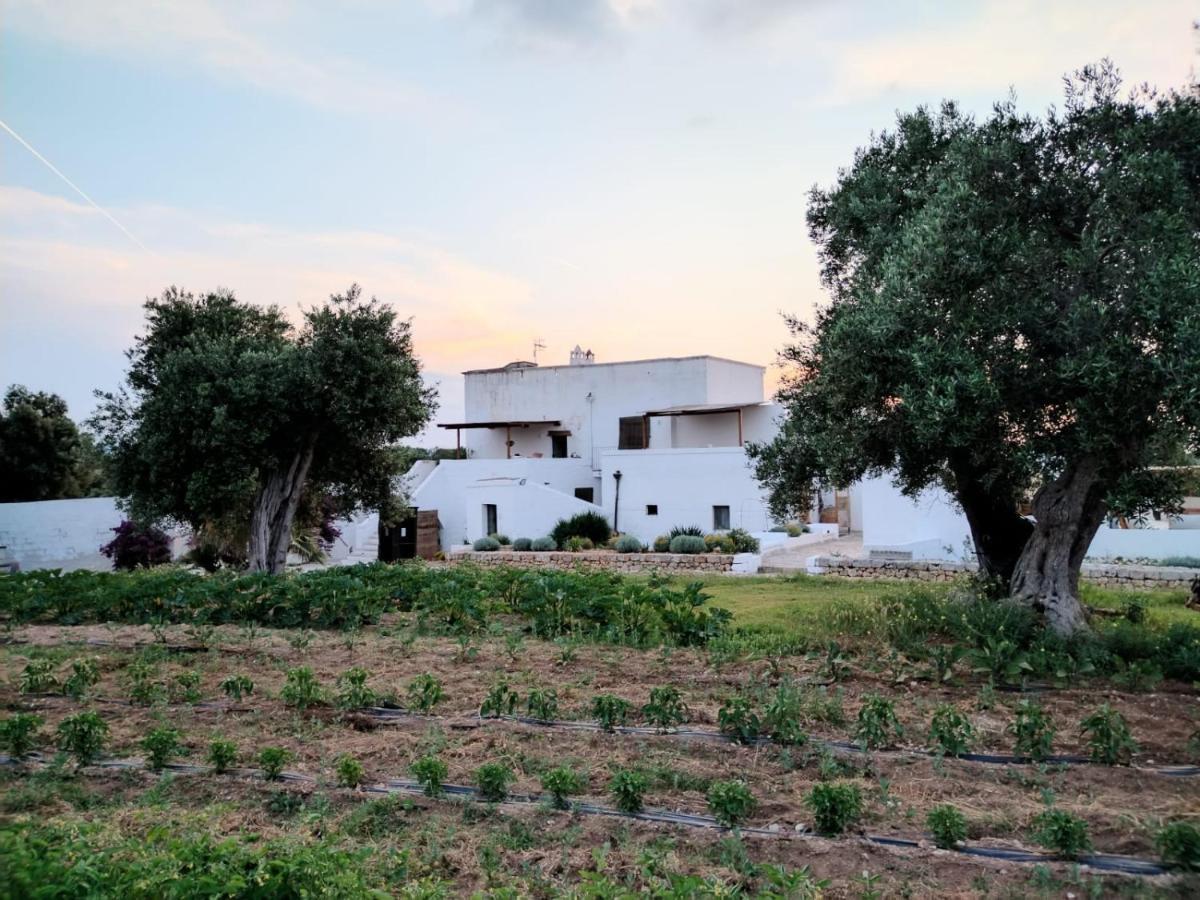 Masseria Piccole Taverne Rosa Marina Kültér fotó