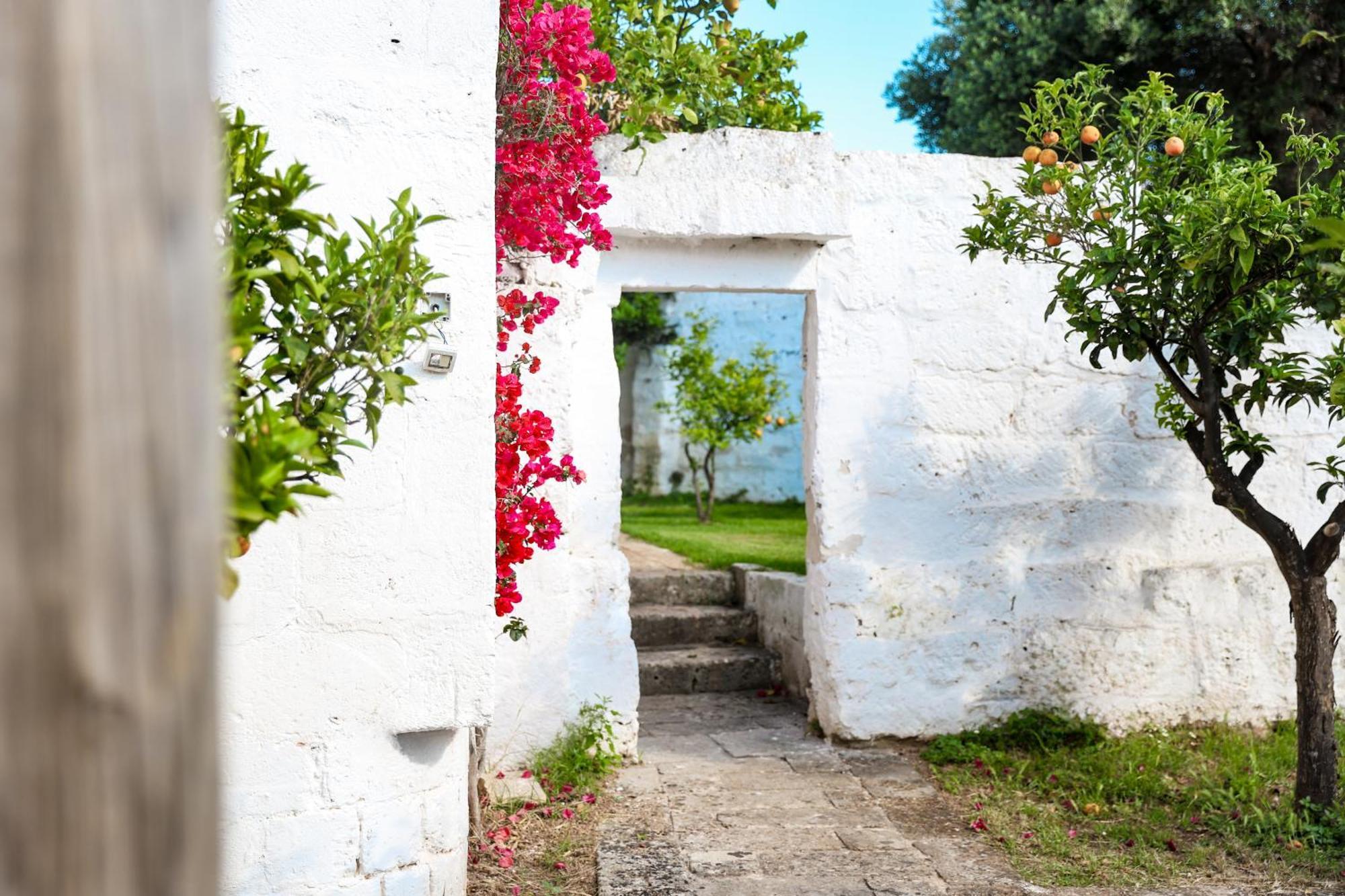Masseria Piccole Taverne Rosa Marina Kültér fotó