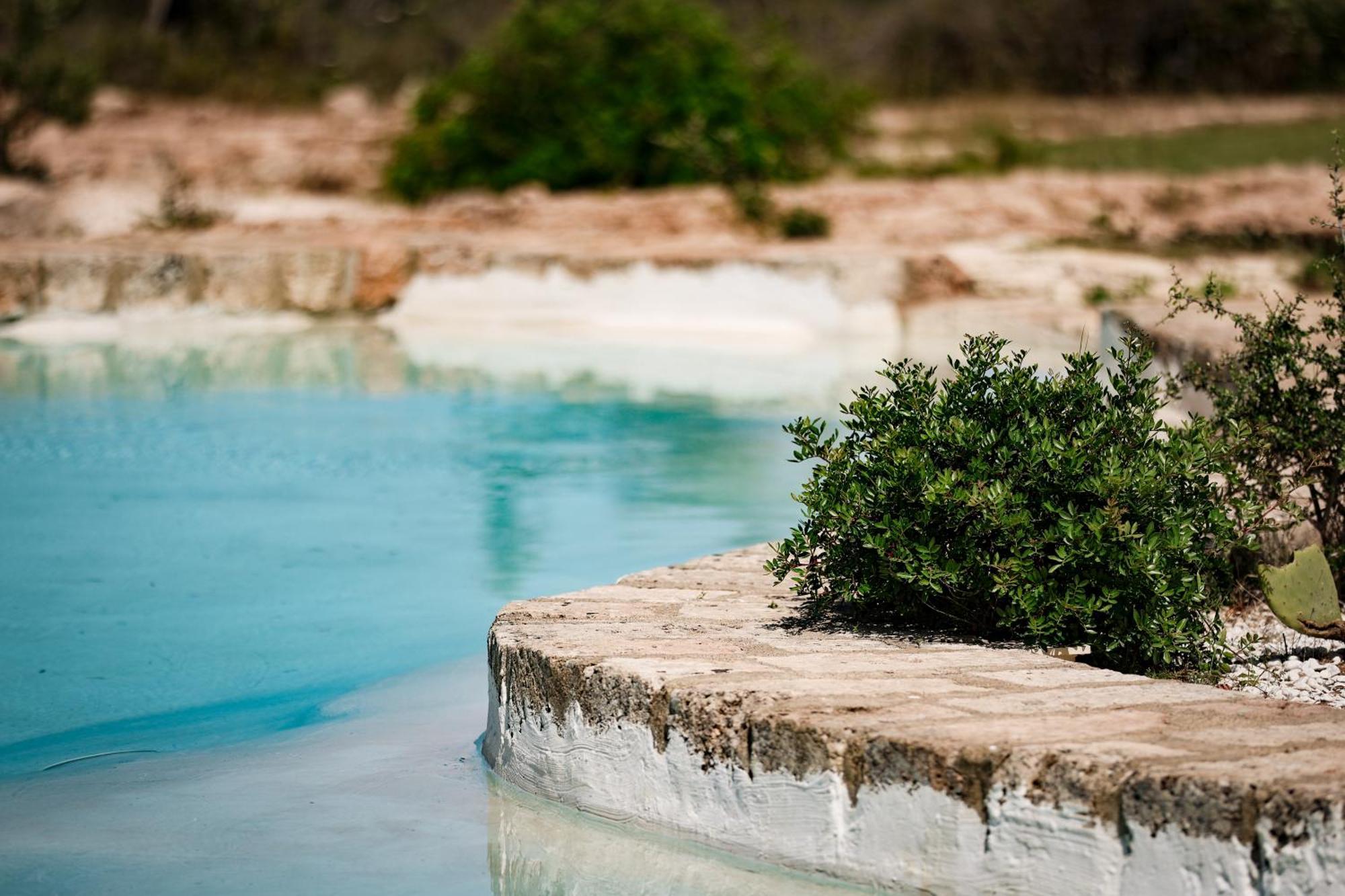 Masseria Piccole Taverne Rosa Marina Kültér fotó