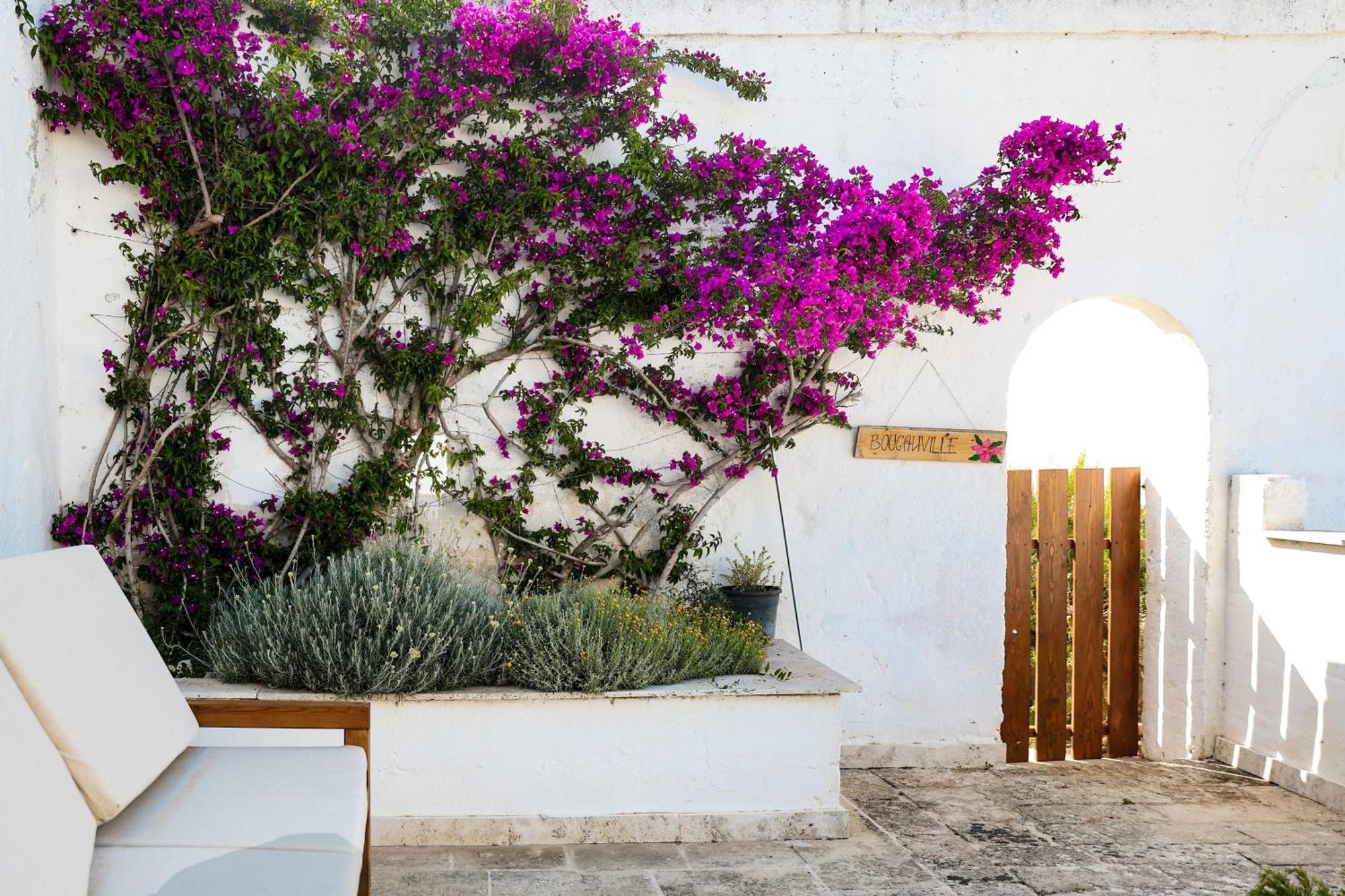 Masseria Piccole Taverne Rosa Marina Kültér fotó