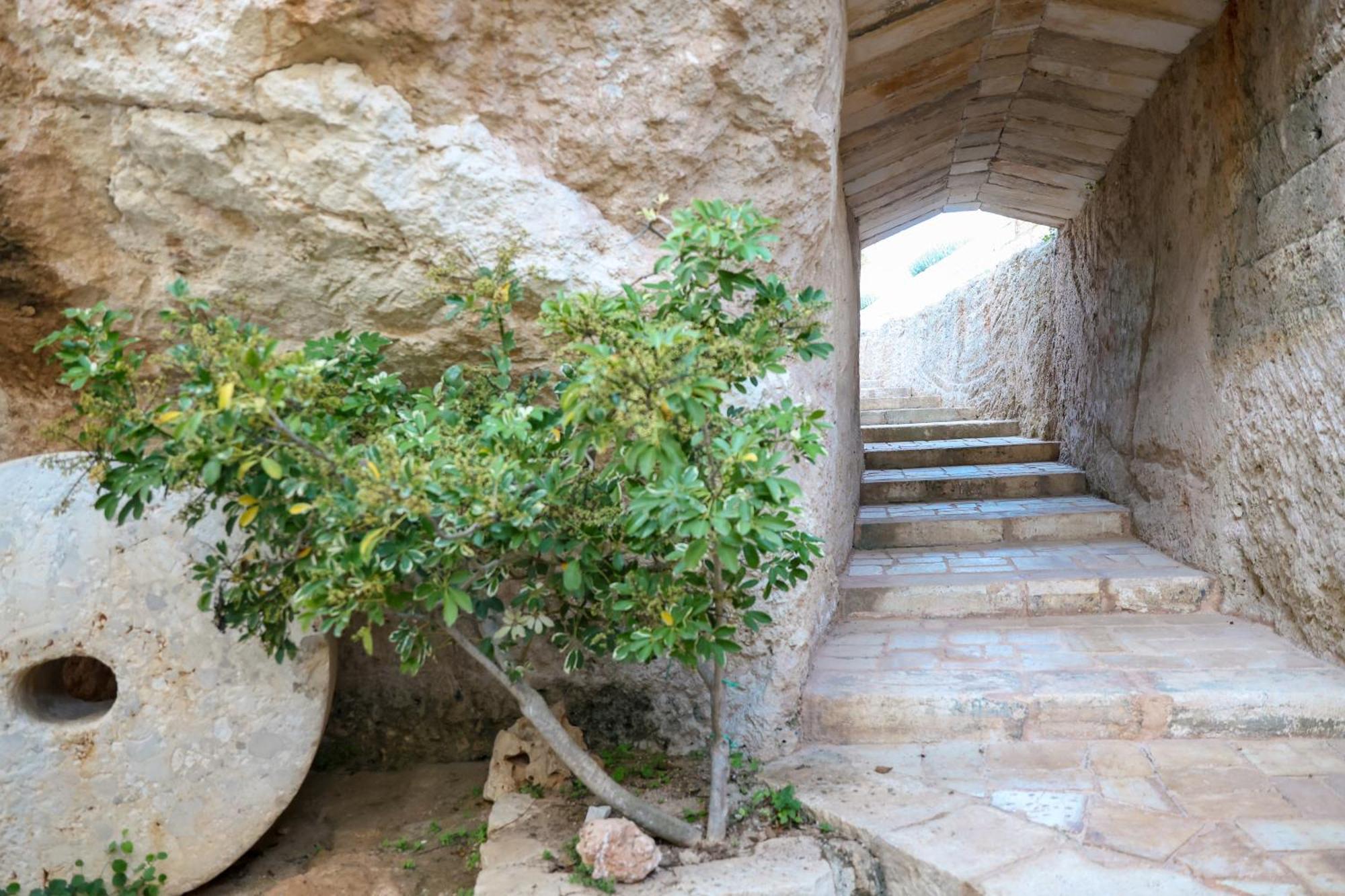 Masseria Piccole Taverne Rosa Marina Kültér fotó