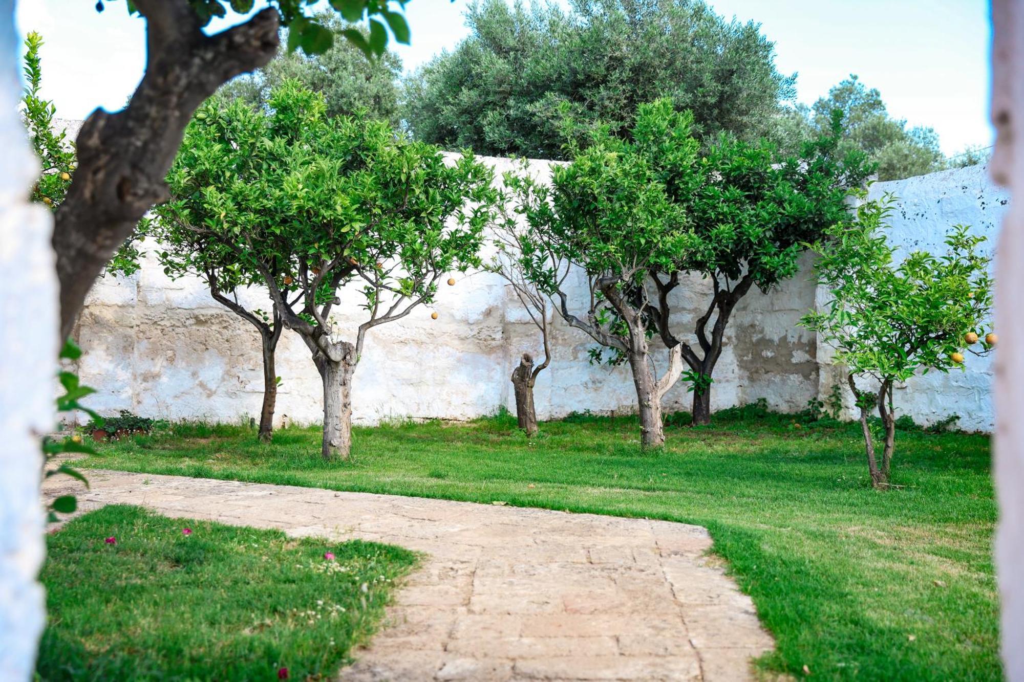 Masseria Piccole Taverne Rosa Marina Kültér fotó