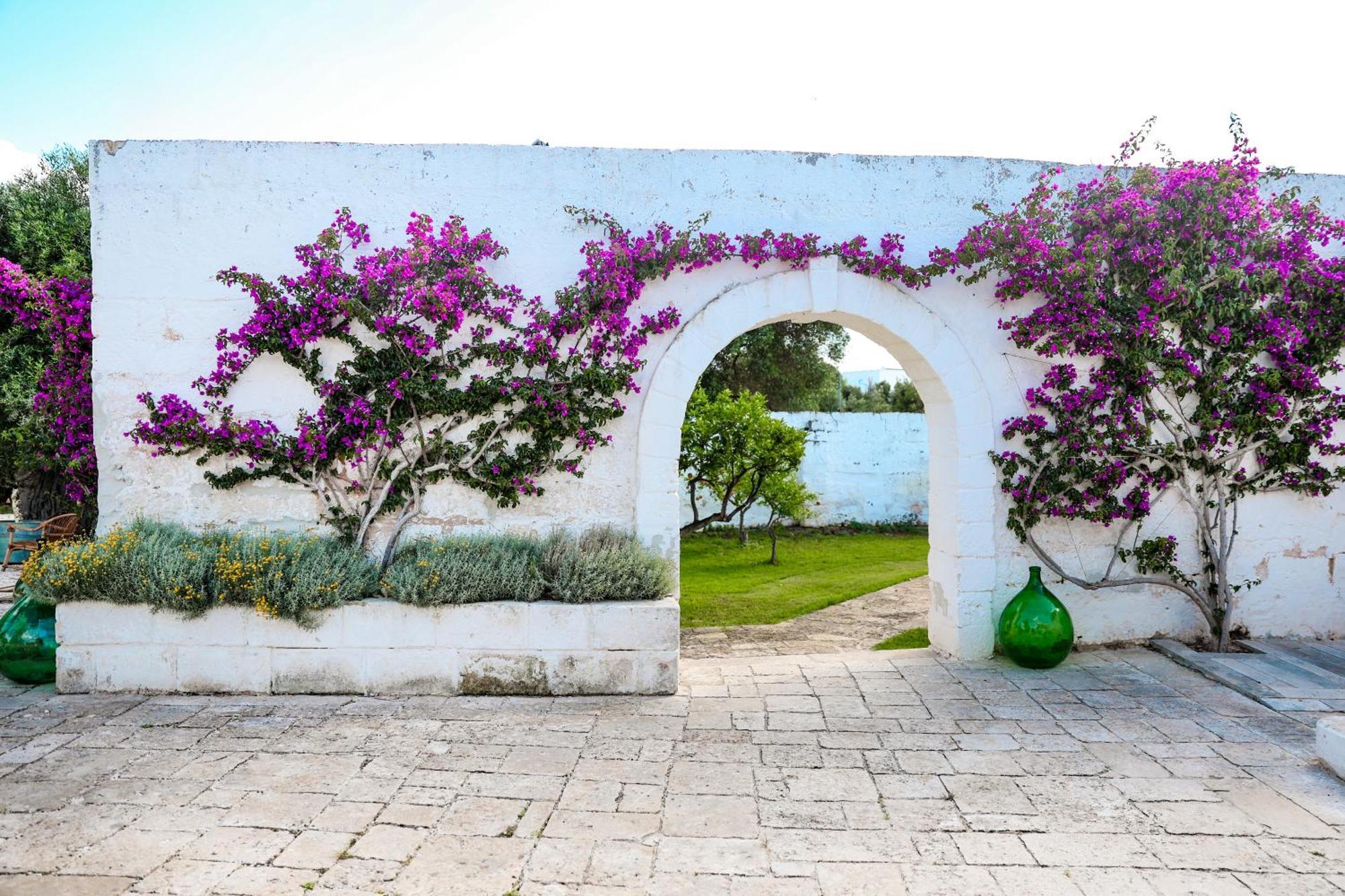 Masseria Piccole Taverne Rosa Marina Kültér fotó